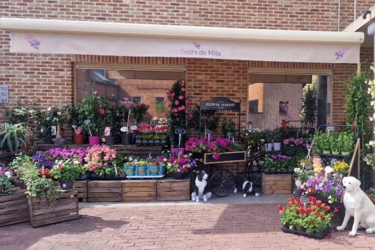 Prachtig bloemenarrangement door Les Fleurs de Mila